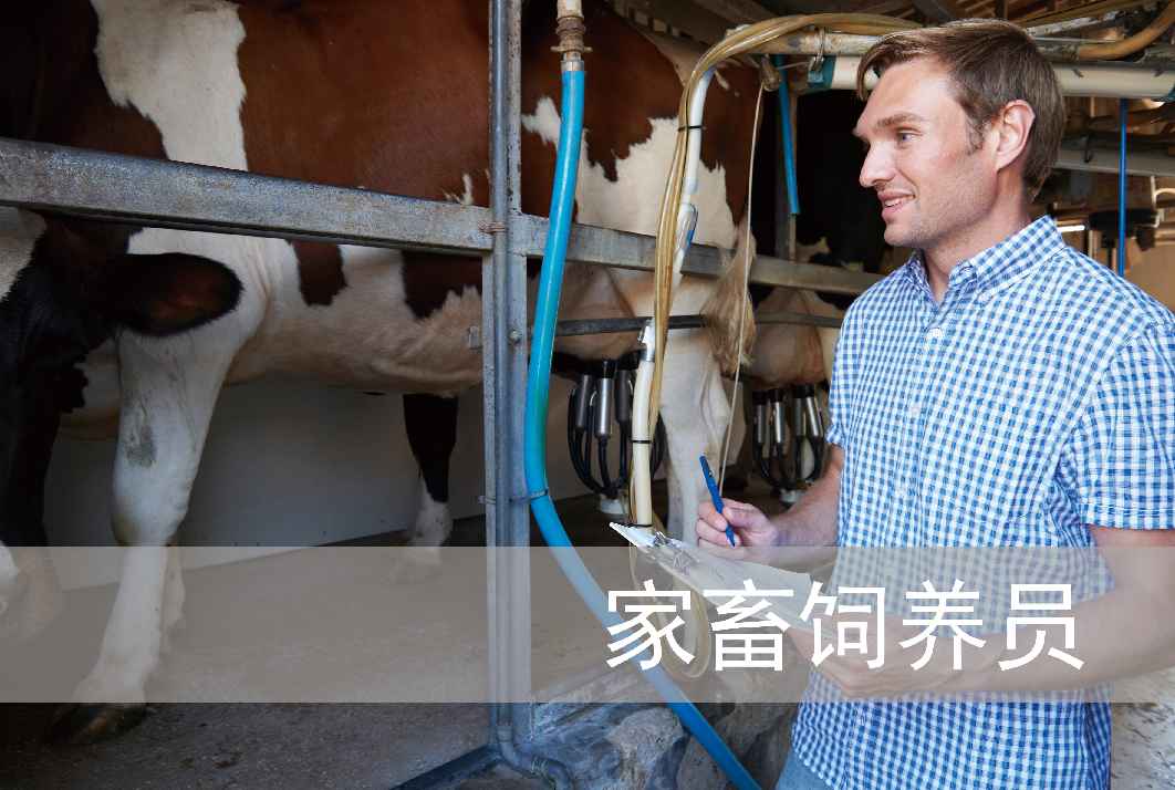 潍坊教育专家分享:孩子成绩差,往往是这3个学习习惯在作怪